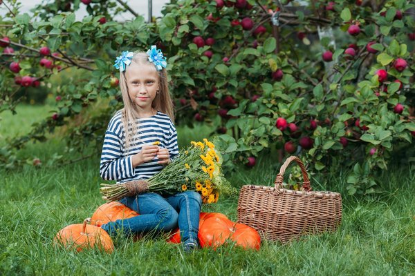 Comment intégrer un coin herbier et plantes séchées dans une cuisine rurale chic?