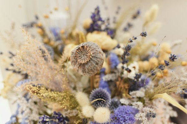 Bouquet de fleurs séchées : les astuces à retenir pour réussir